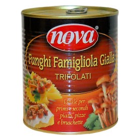 CHIODINI TRIFOLATI NAMEKO BAR.GR.800